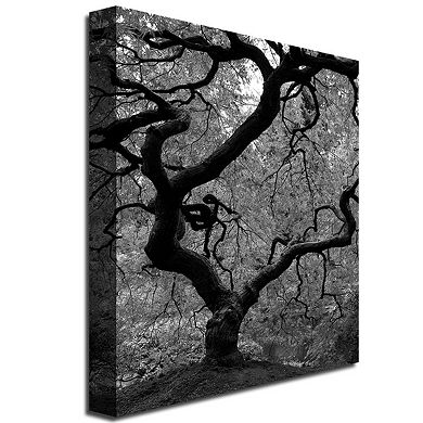 18'' x 24'' ''Japanese Tree II'' Canvas Wall Art