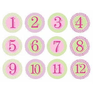 Pearhead Baby Milestone First Year Belly Stickers