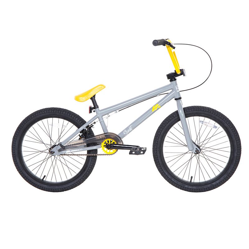 Dave Mirra Sankt 20-in. BMX Bike - Boys, Grey