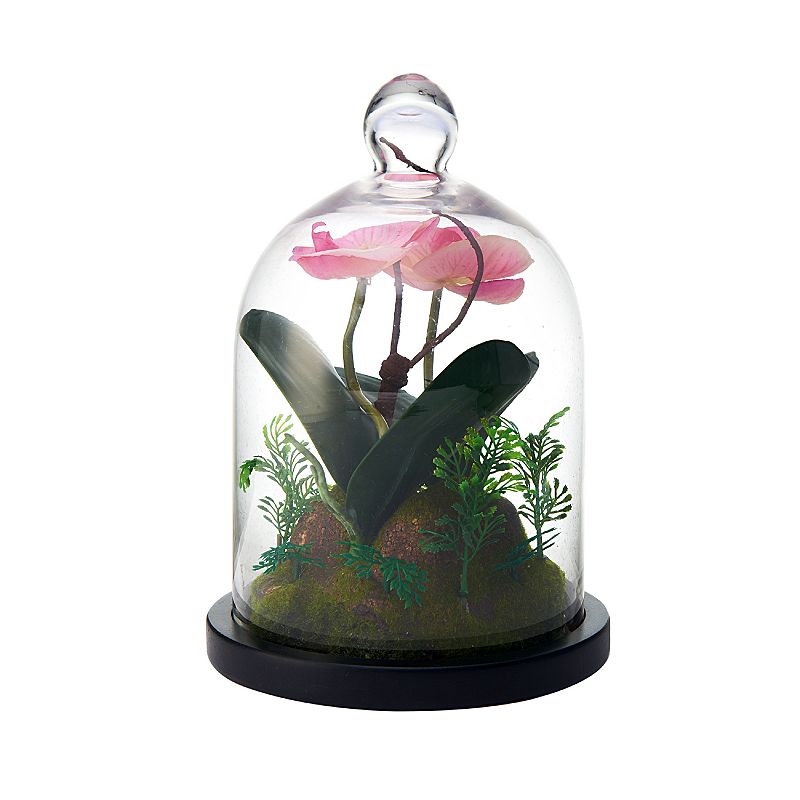 Elements Artificial Orchid Glass Terrarium Dome, Multicolor
