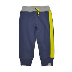 Baby Boy Burt's Bees Baby Organic Striped French Terry Pants