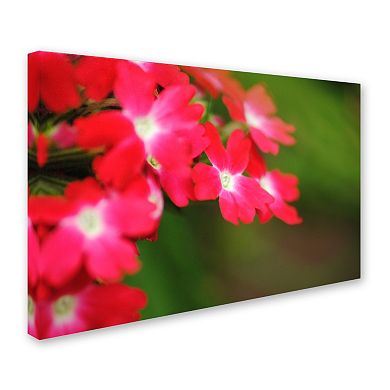 Trademark Fine Art Paired Ornament Canvas Wall Art