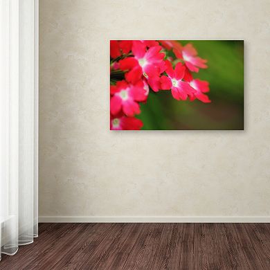 Trademark Fine Art Paired Ornament Canvas Wall Art