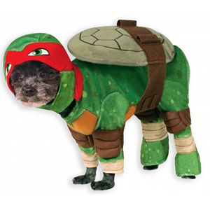 Pet Teenage Mutant Ninja Turtles Raphael Costume