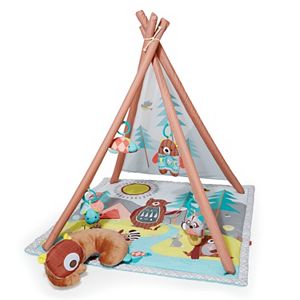 Skip Hop Camping Cubs Activity Mat