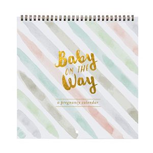 C.R. Gibson Baby on the Way 44-Week Pregnancy Calendar
