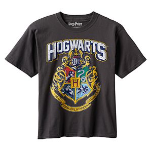 Boys 8-20 Harry Potter Hogwarts Tee