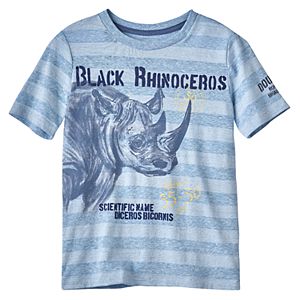 Boys 4-7x SONOMA Goods for Life™ Endangered Animal Striped Tee