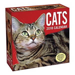 Cats 2018 Desk Calendar