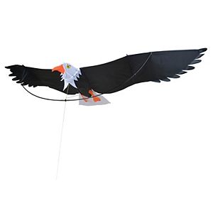 Premier Kites Premier Designs 7-ft. Eagle Kite