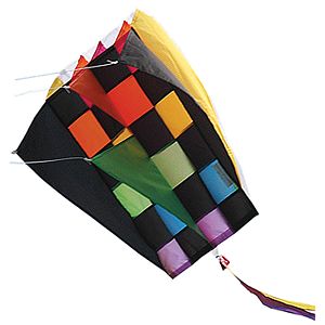 Premier Kites Premier Designs RB Tecmo Parafoil 2 Kite