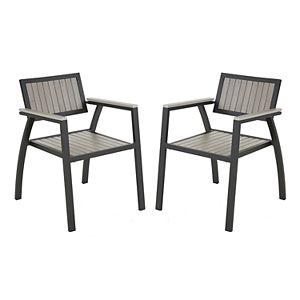 Madison Park Lester Patio Arm Chair 2-piece Set