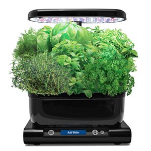 Miracle-Gro AeroGarden Harvest LED with Gourmet Herb Seed Pod Kit