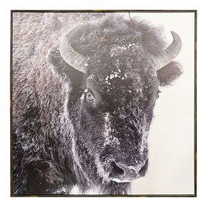 New View Snow Buffalo Framed Canvas Wall Art