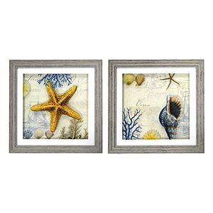 New View Antique Shells Framed Wall Art 2-piece Set!