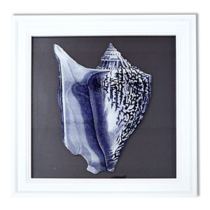 New View Reverse Conch Shell Framed Wall Art