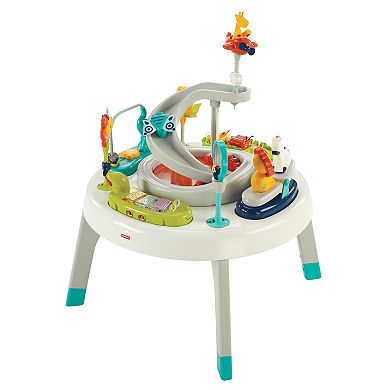 Fisher-Price 2-in-1 Sit-to-Stand Activity Center