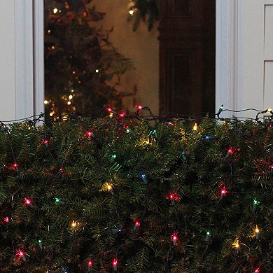 Northlight Seasonal Multi-Color Mini Christmas Lights