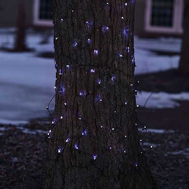 Northlight Seasonal Blue LED Mesh Net Christmas Lights