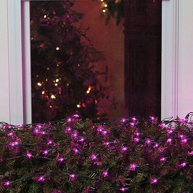 Northlight Seasonal Purple Mini Christmas Lights