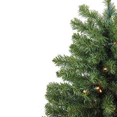 Northlight Seasonal 3-ft. Pre-Lit LED Canadian Pine Artificial Christmas Tree