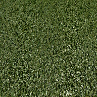 Loomaknoti Premiere Artificial Grass Rug