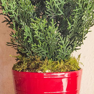 nearly natural 27-In. Mini Cedar Artificial Pine Tree in Decorative Planter (Indoor/Outdoor)