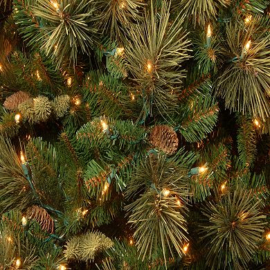 National Tree Company 9 ft. Carolina Pine Tree with Clear Lights