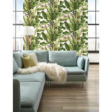 York Wallcoverings Tropics Banana Leaf Wallpaper