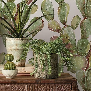 RoomMates Prickly Pear Cactus Peel & Stick Wallpaper