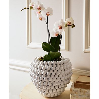 Pompom Decorative Vase Planter