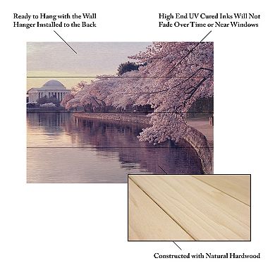 Trademark Fine Art Gregory OHanlon 'Cherry Blossoms Jefferson Memorial' Wood Slat Art