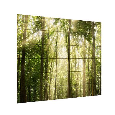 Trademark Fine Art PIPA Fine Art 'Sunrays Through Treetops' Wood Slat Art