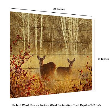 Trademark Fine Art Foggy Deer Wood Slat Wall Art