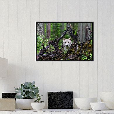 Amanti Art "Wolf" Framed Canvas Print