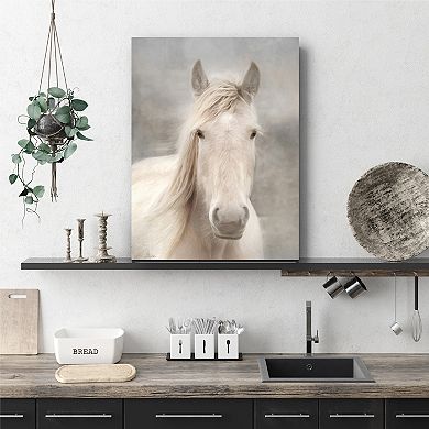 Courtside Market White Horse Beauty I Gallery Canvas Wall Art