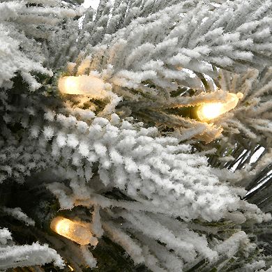 National Tree Company 24-in. Light-Up Frosted Colonial Fir Artificial Christmas Wreath