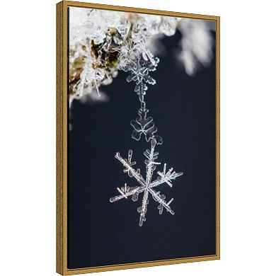 Amanti Art Pendant Snowflake Framed Canvas Wall Art