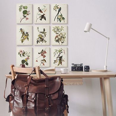 Stupell Home Decor Various Warbler Birds Canvas Wall Art 9-piece Set