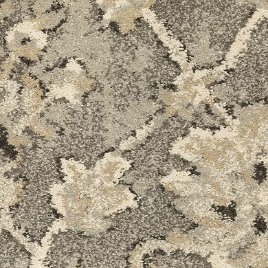 StyleHaven Franklin Faded Floral Trellis Area Rug