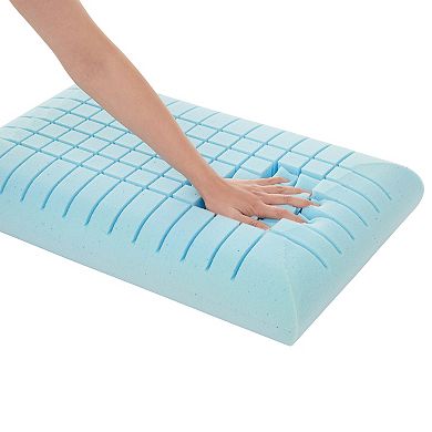 Omni freeze outlet pillow