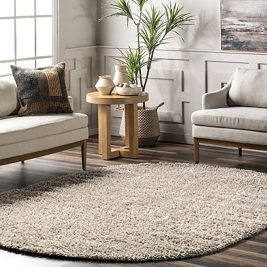 nuLOOM Neva Casual Plush Shag Rug