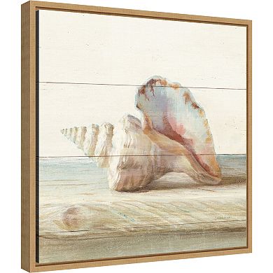 Amanti Art Driftwood Shell IV Framed Canvas Wall Art