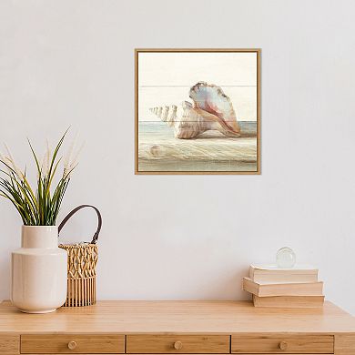 Amanti Art Driftwood Shell IV Framed Canvas Wall Art