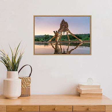 Amanti Art Sunset Giraffe Drinking Framed Canvas Wall Art