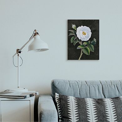 Stupell Home Decor White Poppy Thorns Canvas Wall Art