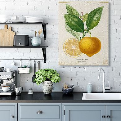 Stupell Home Decor Vibrant French Lemon Canvas Wall Art