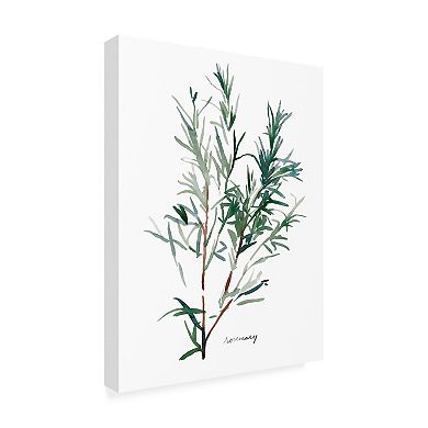 Trademark Fine Art Emma Scarvey Herb Garden Sketches Iv Canvas Wall Art