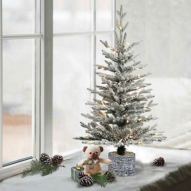 Puleo International 3' Pre-Lit Potted Flocked Arctic Fir Tree with 40 Warm White LED Lights