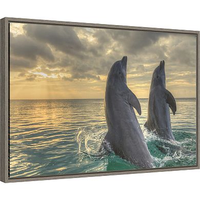 Amanti Art Dolphin Dance Framed Canvas Print